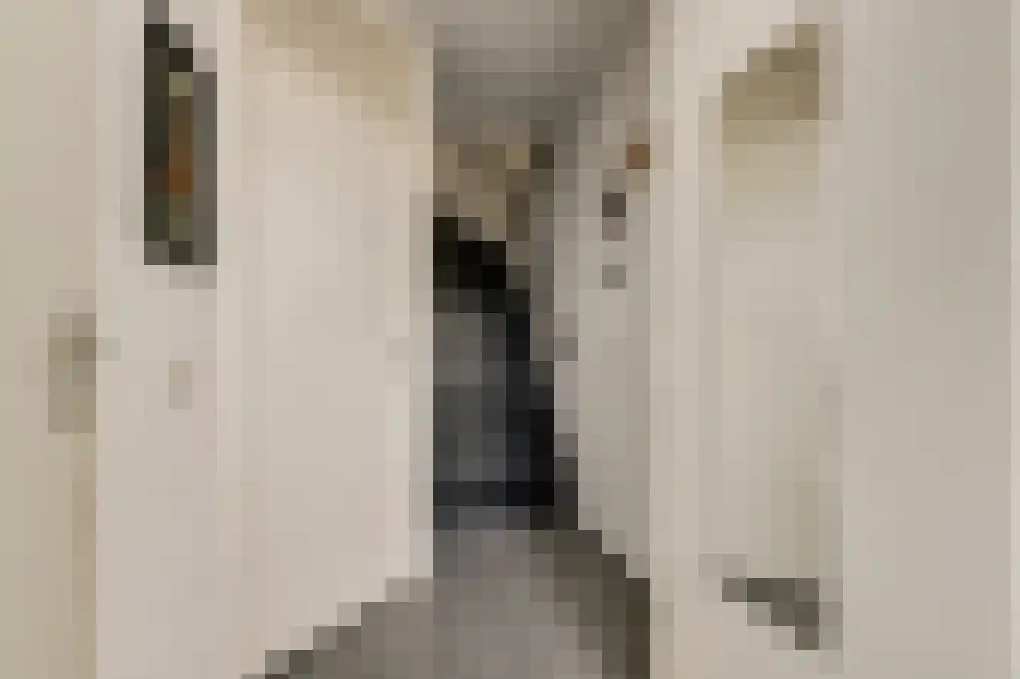 Cole Porterstraat 21 Delft thumbnail 10