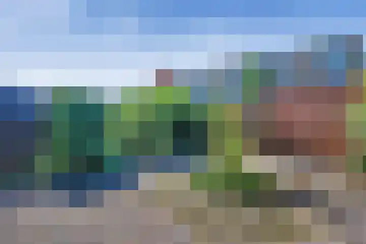 Cole Porterstraat 25 Zaandijk thumbnail 23
