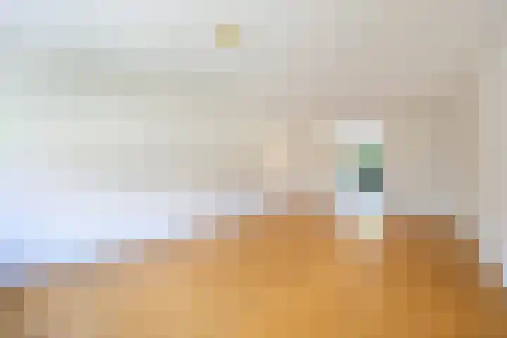 Cole Porterstraat 25 Zaandijk thumbnail 6