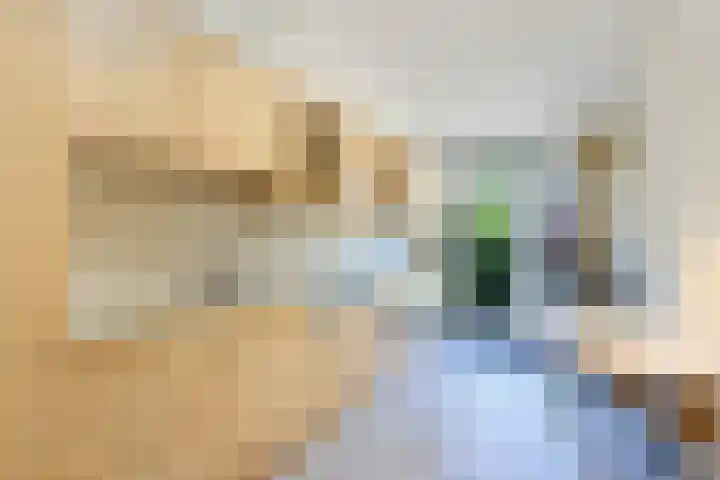 Cole Porterstraat 25 Zaandijk thumbnail 8