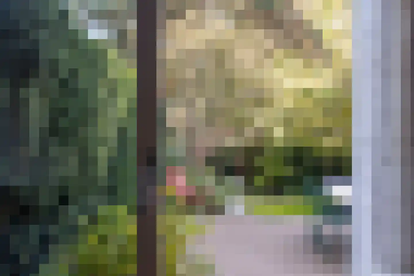 Colenbranderstraat 13 Arnhem thumbnail 12
