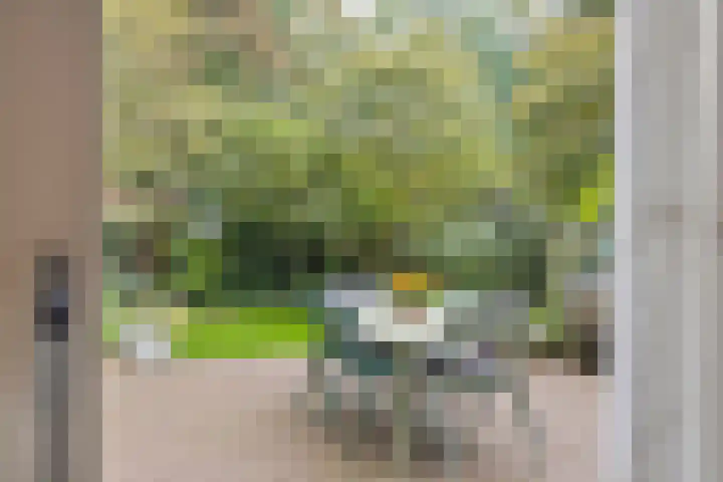 Colenbranderstraat 13 Arnhem thumbnail 13