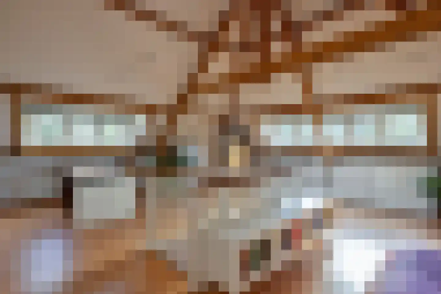 Colenbranderstraat 13 Arnhem thumbnail 36