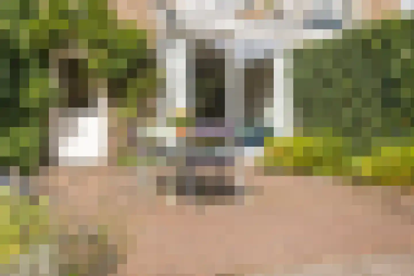 Colenbranderstraat 13 Arnhem thumbnail 40