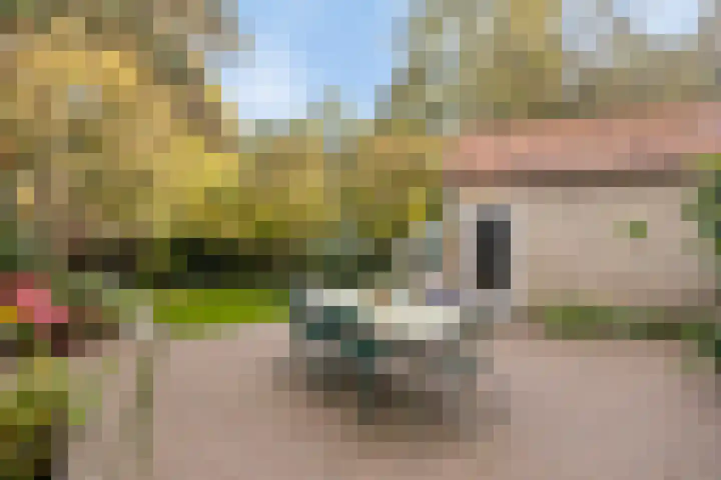 Colenbranderstraat 13 Arnhem thumbnail 41