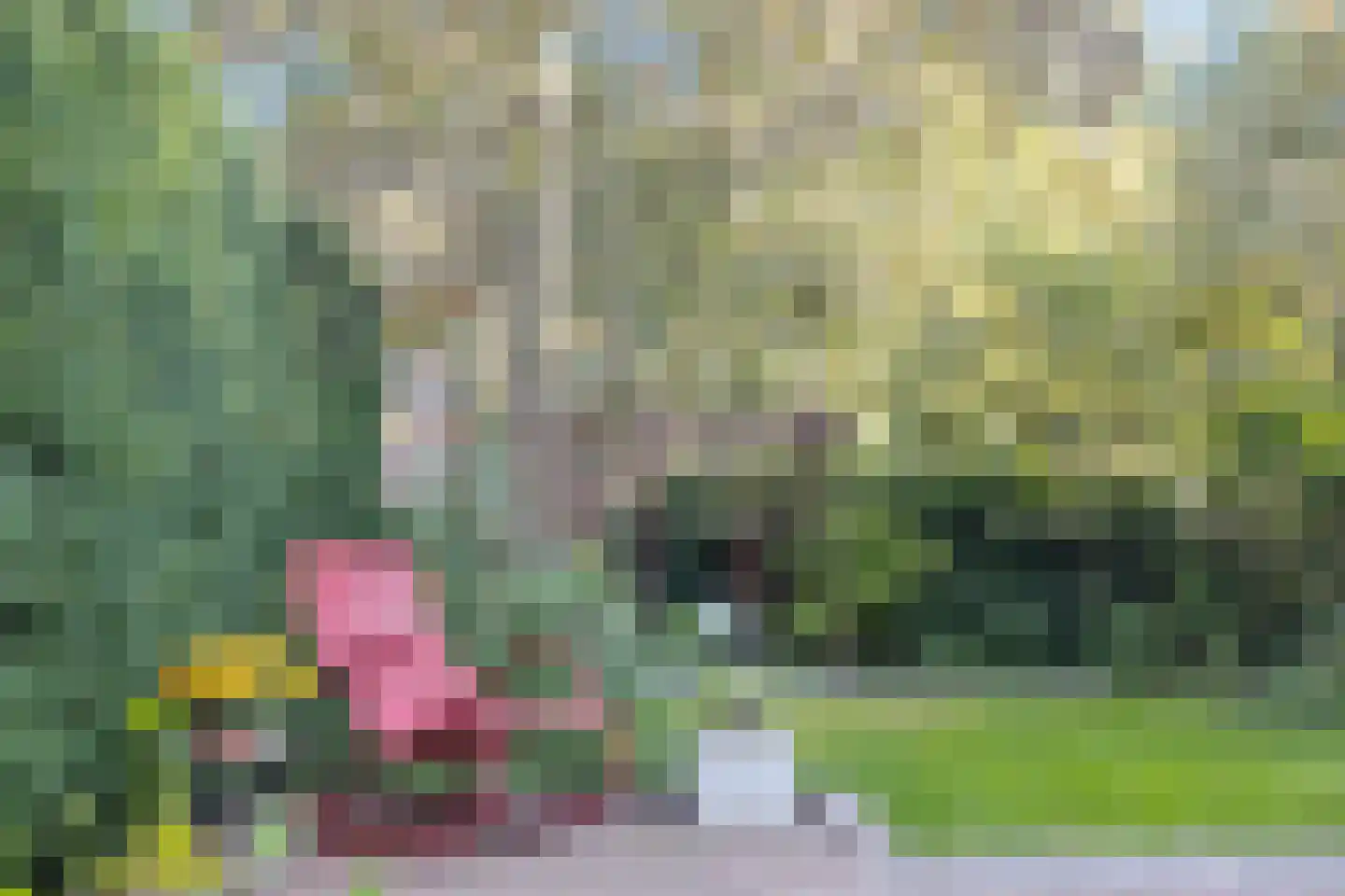 Colenbranderstraat 13 Arnhem thumbnail 42