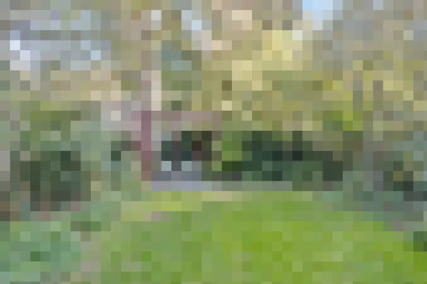 Colenbranderstraat 13 Arnhem thumbnail 43