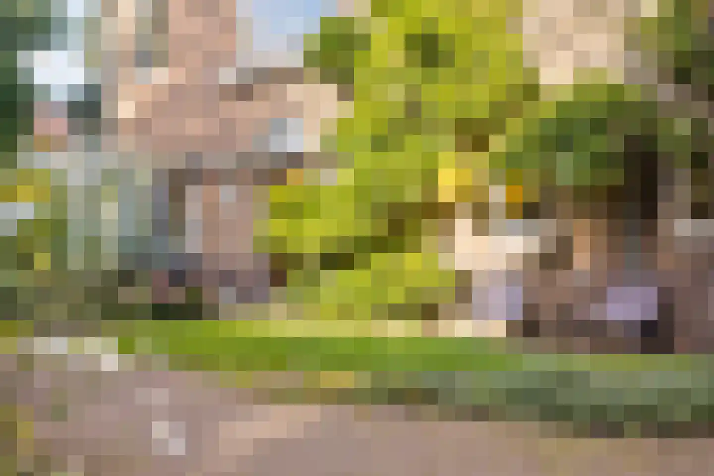 Colenbranderstraat 13 Arnhem thumbnail 46