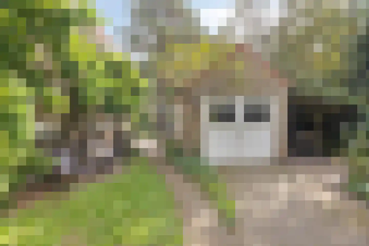 Colenbranderstraat 13 Arnhem thumbnail 47