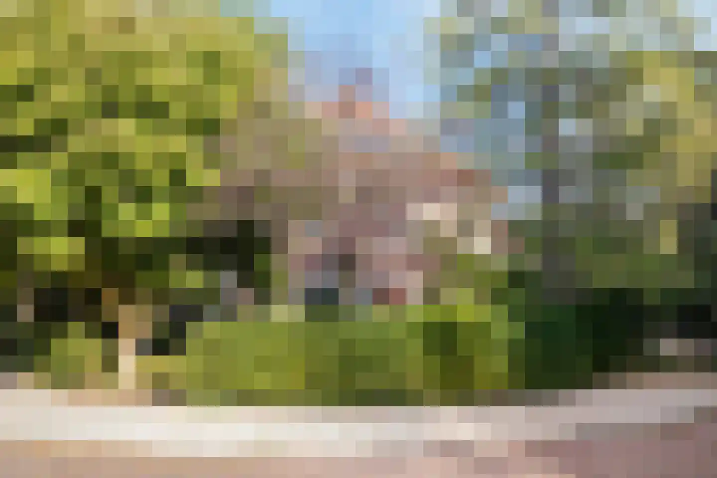Colenbranderstraat 13 Arnhem thumbnail 48
