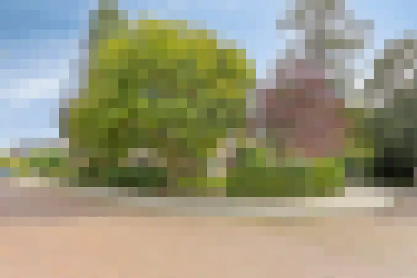 Colenbranderstraat 13 Arnhem thumbnail 49