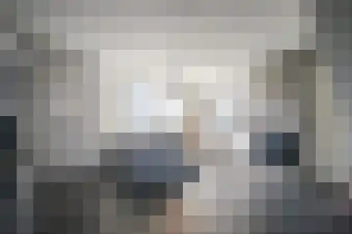 Colenbranderstraat 173 Duiven thumbnail 4