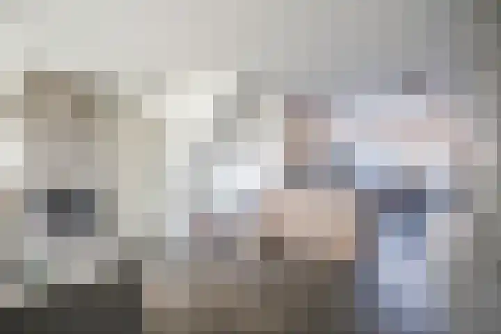 Colenbranderstraat 173 Duiven thumbnail 7