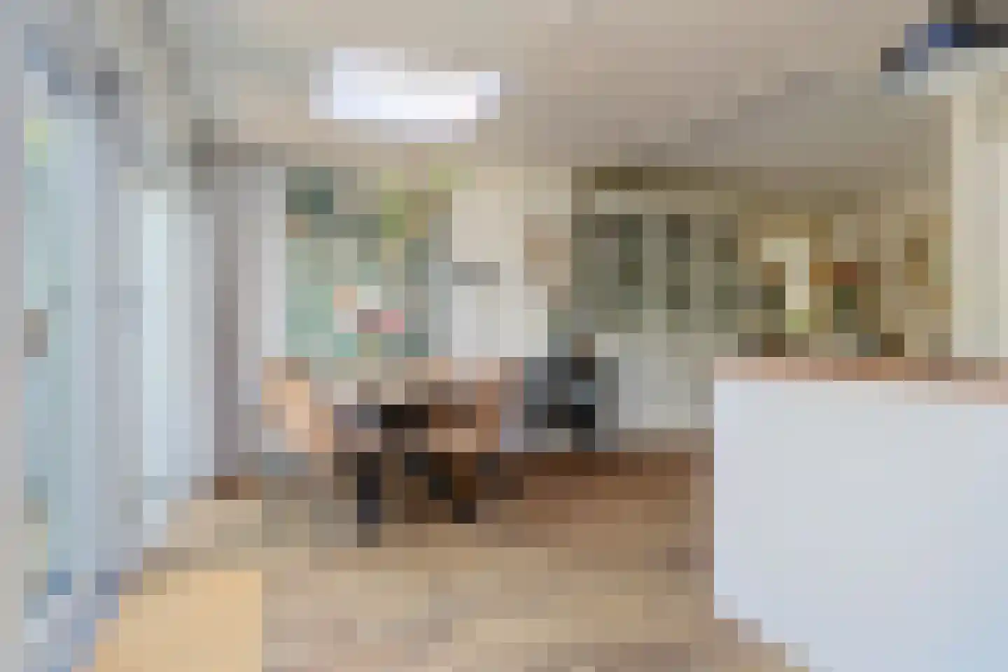Colenbranderstraat 181 Duiven thumbnail 10