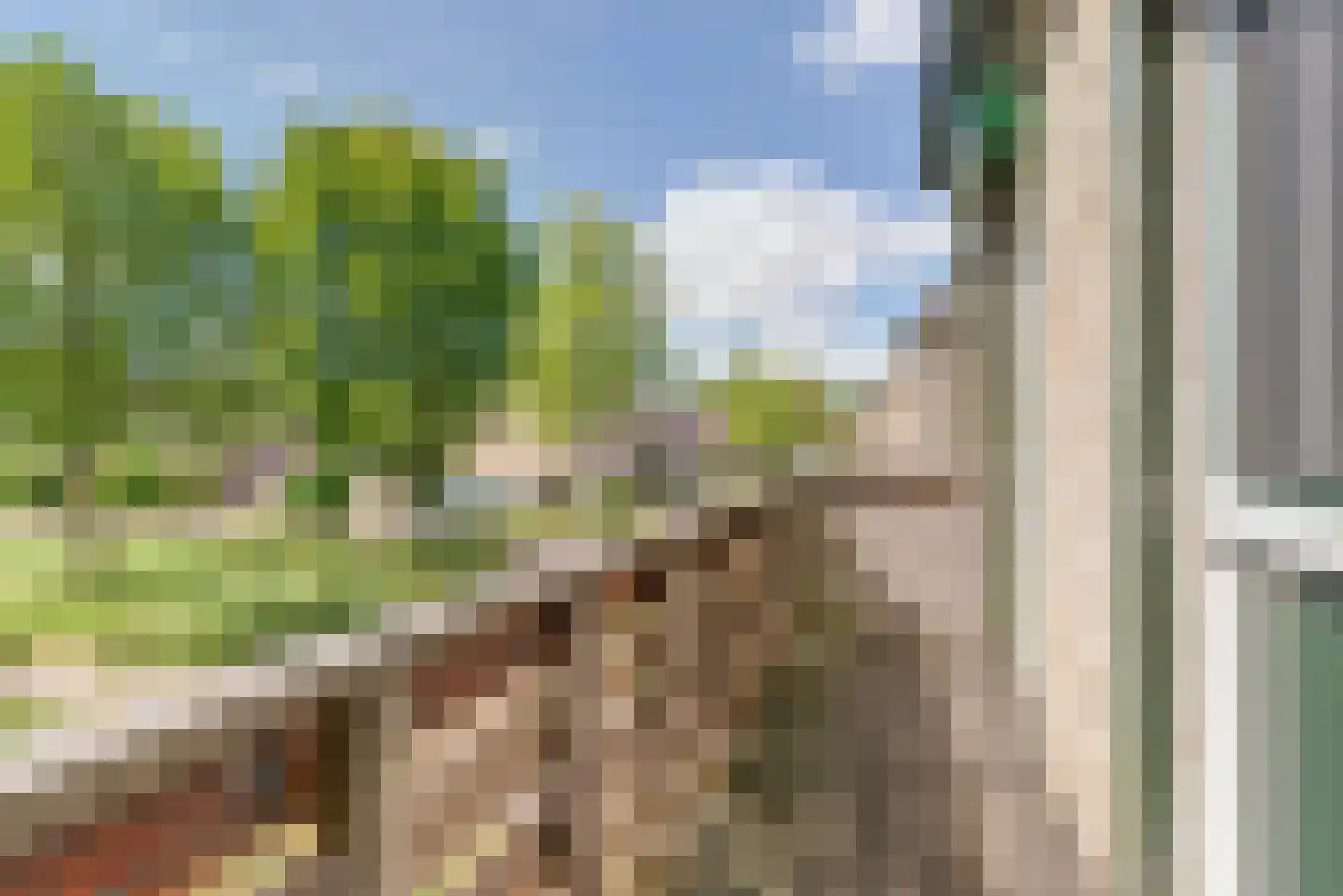 Colenbranderstraat 181 Duiven thumbnail 21