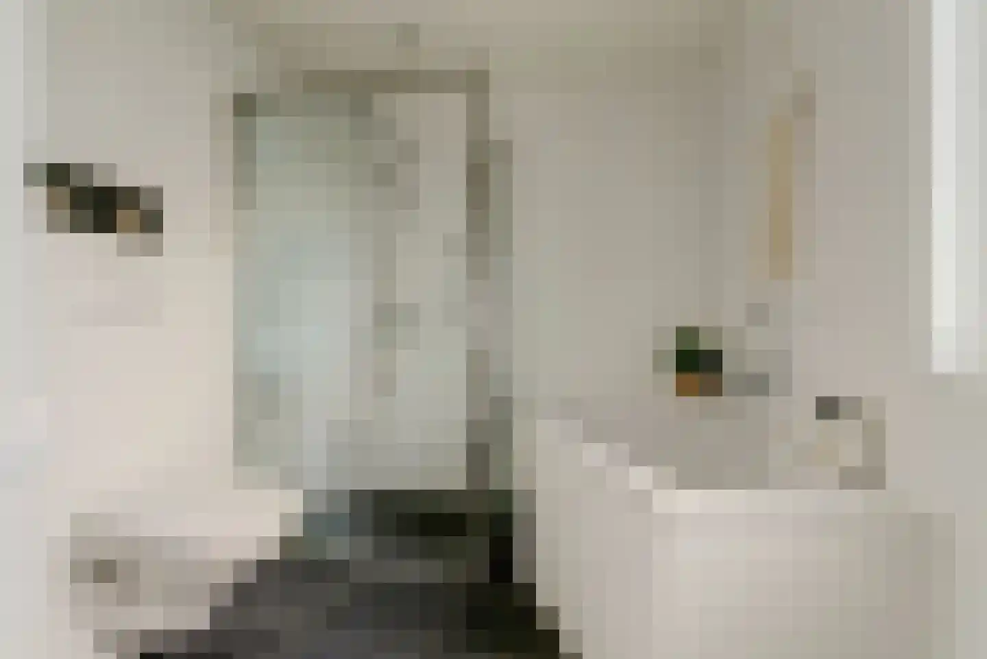 Colenbranderstraat 181 Duiven thumbnail 23