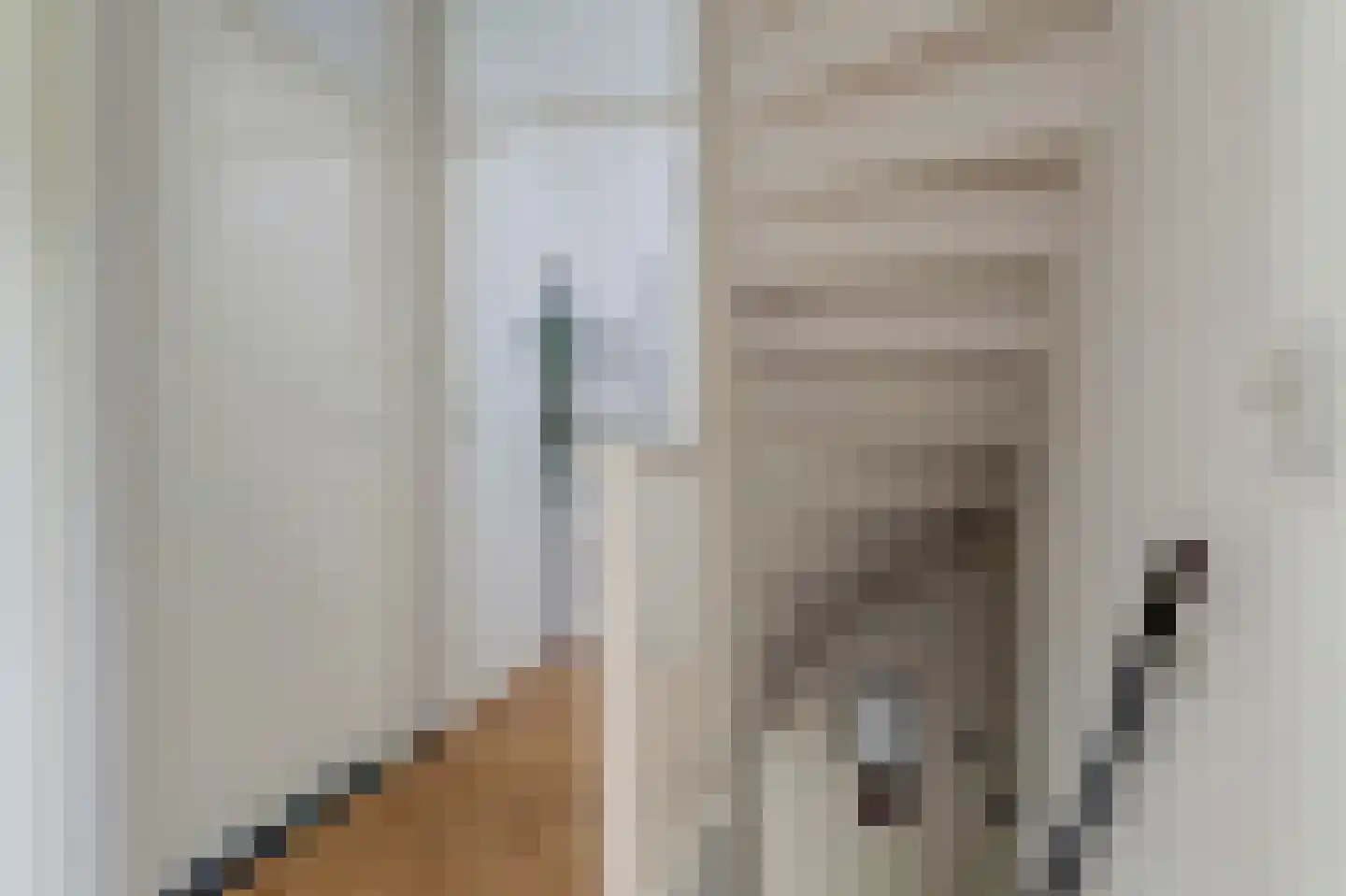 Colenbranderstraat 181 Duiven thumbnail 25
