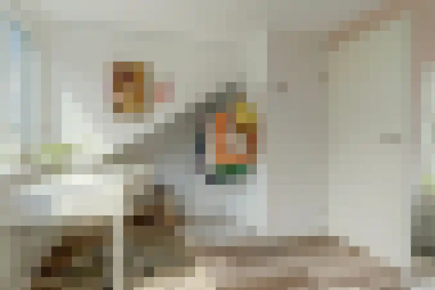Colenbranderstraat 181 Duiven thumbnail 31