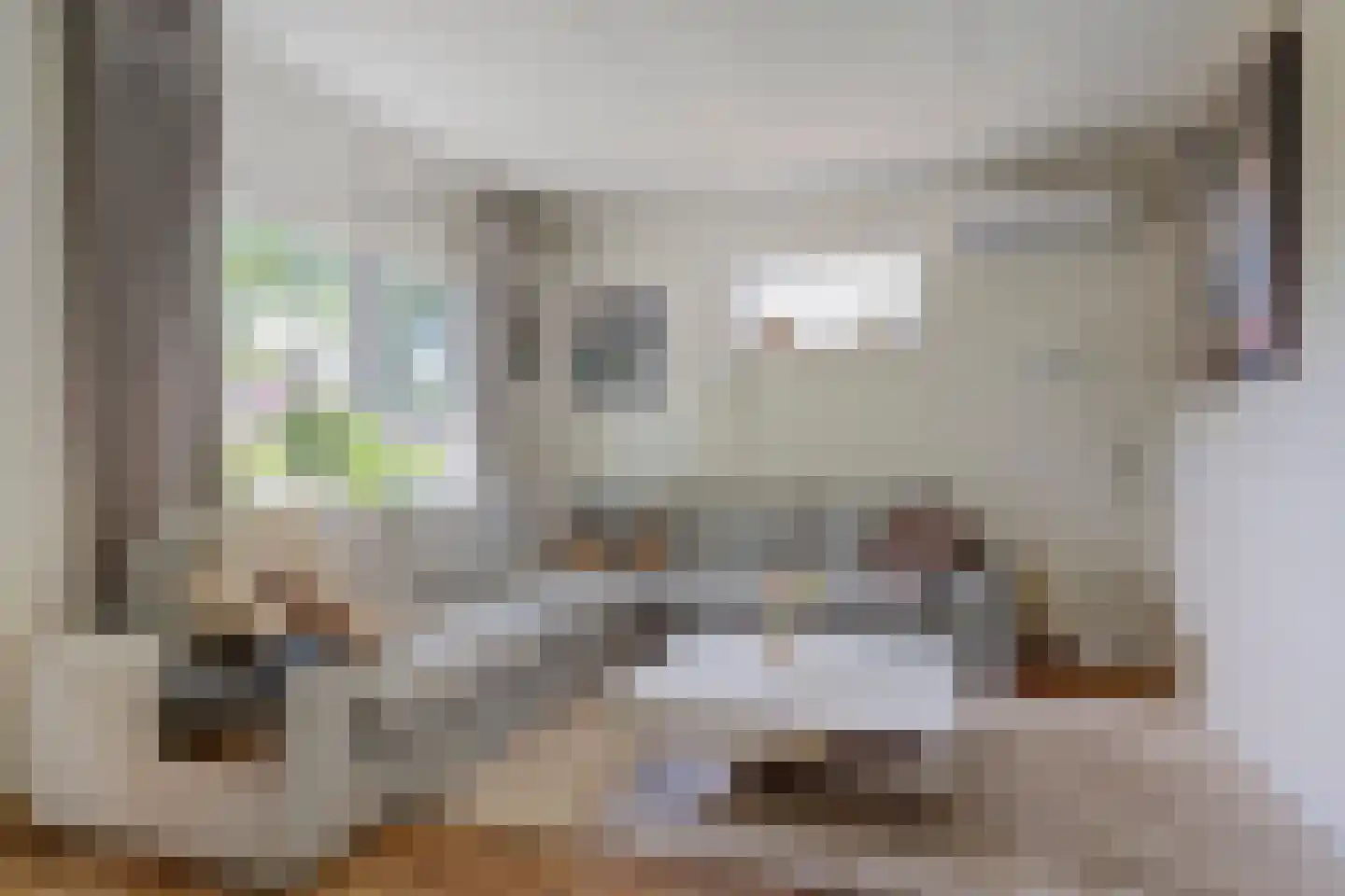 Colenbranderstraat 181 Duiven thumbnail 4