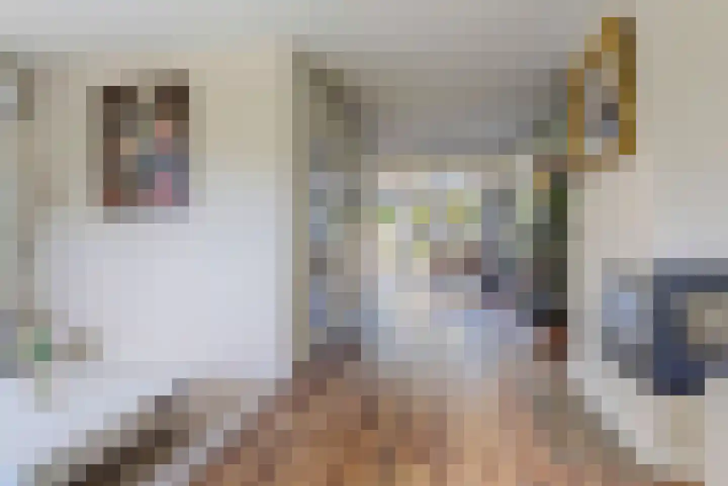 Colenbranderstraat 181 Duiven thumbnail 8