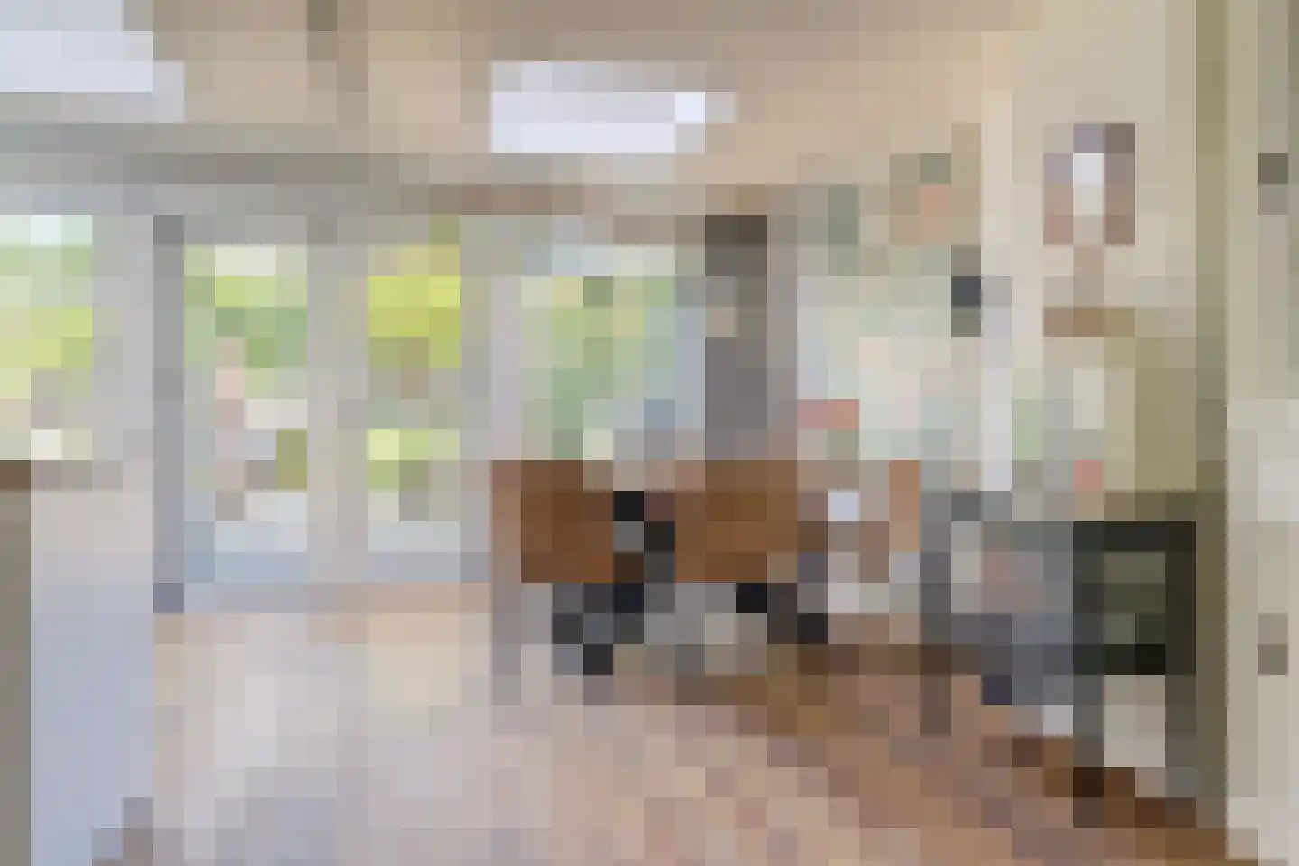 Colenbranderstraat 181 Duiven thumbnail 9