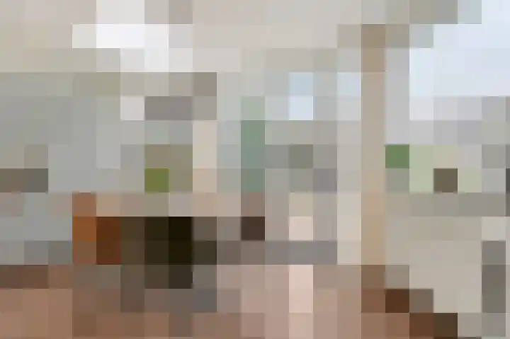 Colenbranderstraat 183 Duiven thumbnail 21