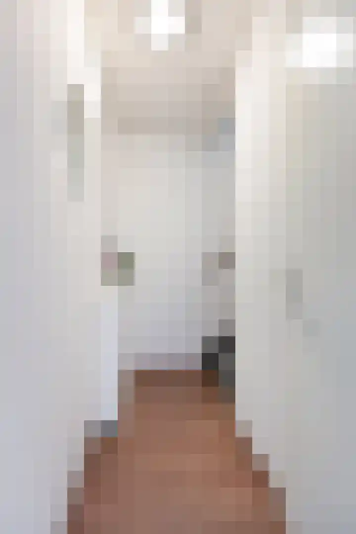 Colenbranderstraat 183 Duiven thumbnail 28