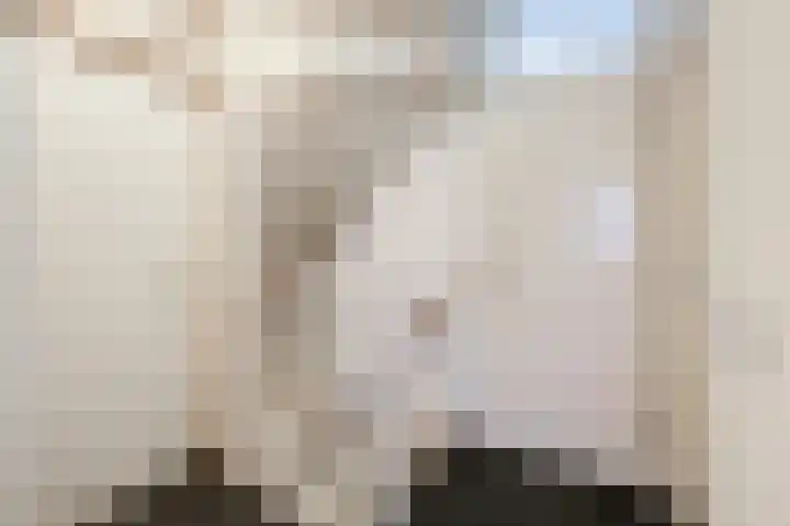Colenbranderstraat 183 Duiven thumbnail 31