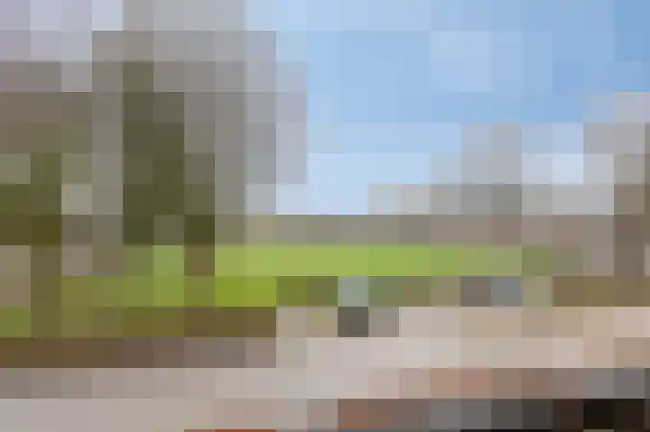 Colenbranderstraat 183 Duiven thumbnail 4
