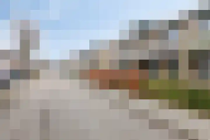 Colenbranderstraat 183 Duiven thumbnail 7