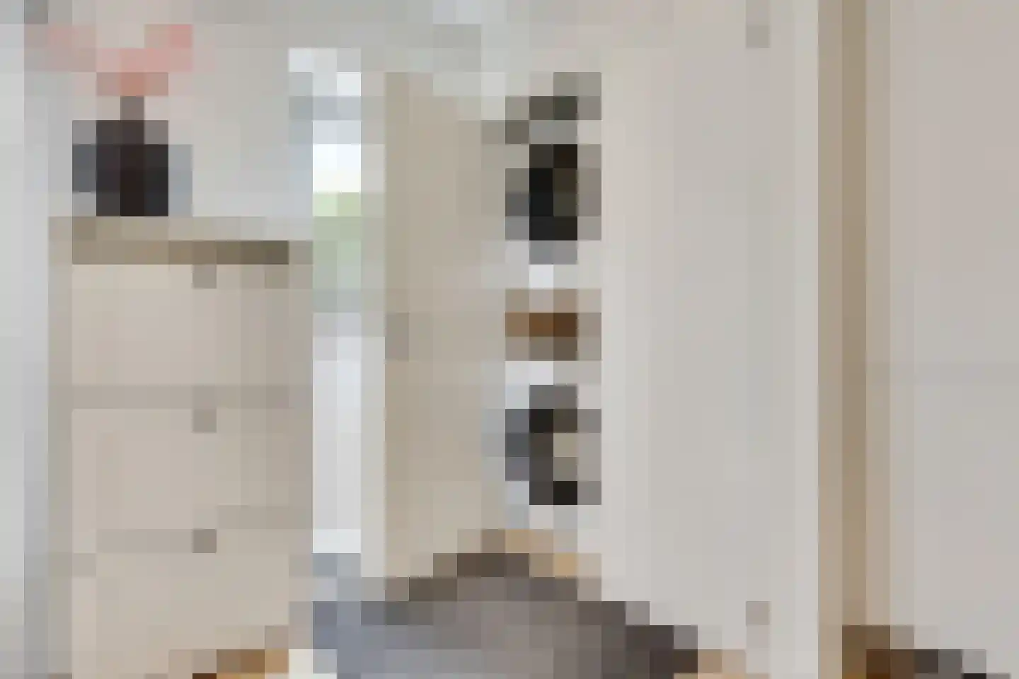Colenbranderstraat 195 Duiven thumbnail 16