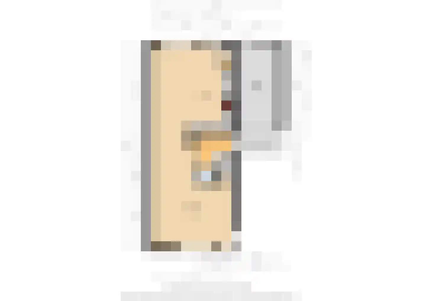 Colenbranderstraat 195 Duiven thumbnail 36