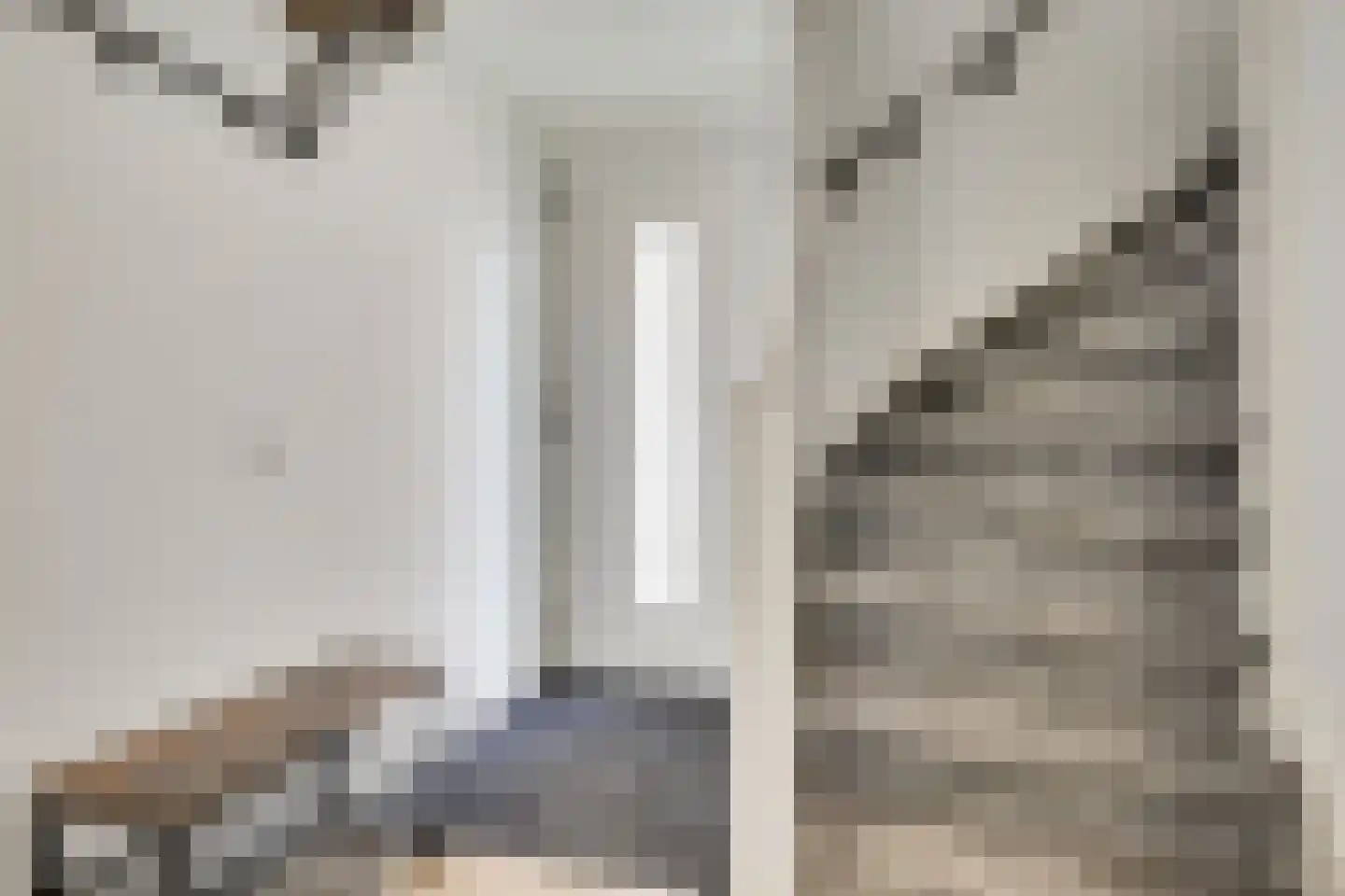 Colenbranderstraat 195 Duiven thumbnail 7