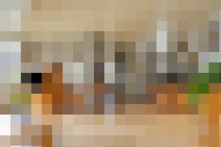 Colenbranderstraat 2 Duiven thumbnail 12