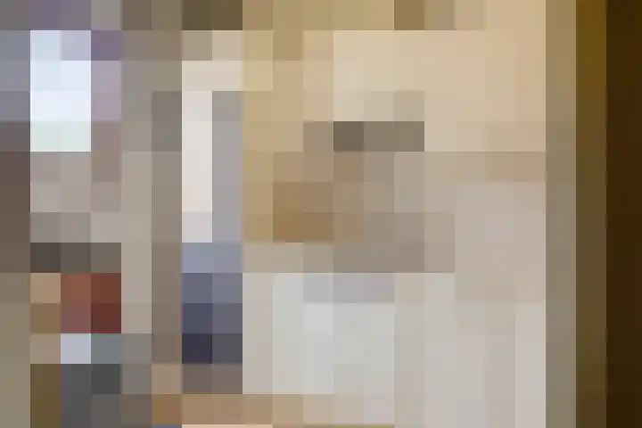 Colenbranderstraat 2 Duiven thumbnail 13