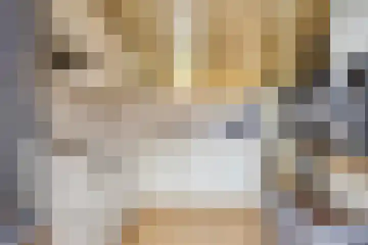 Colenbranderstraat 2 Duiven thumbnail 15