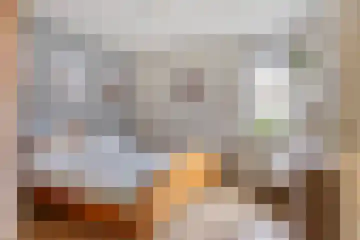Colenbranderstraat 2 Duiven thumbnail 16