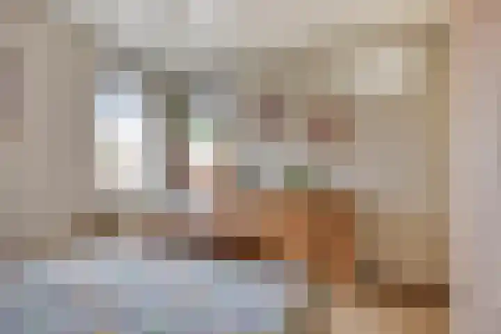 Colenbranderstraat 2 Duiven thumbnail 17