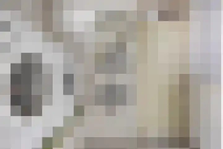 Colenbranderstraat 2 Duiven thumbnail 18
