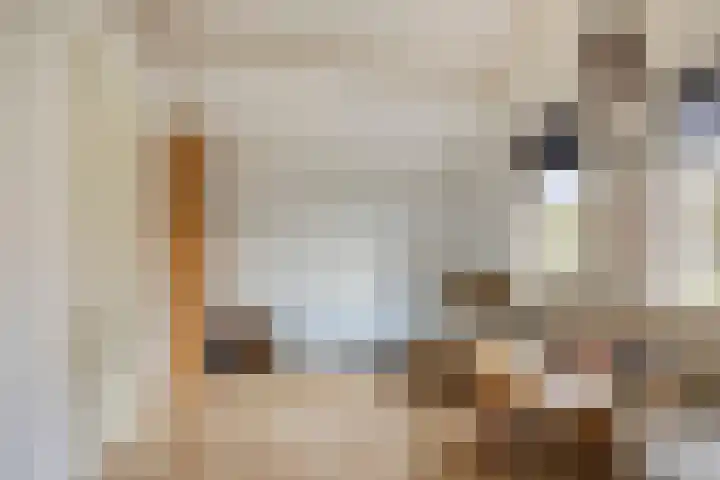 Colenbranderstraat 2 Duiven thumbnail 22