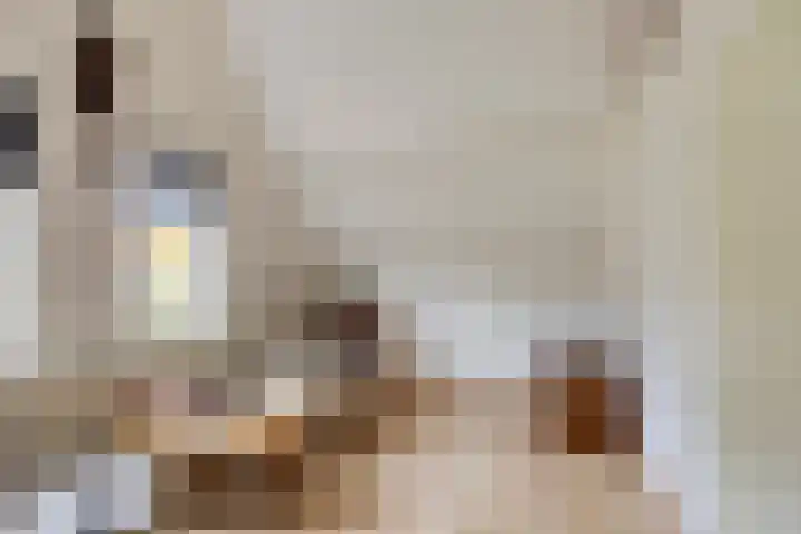 Colenbranderstraat 2 Duiven thumbnail 23