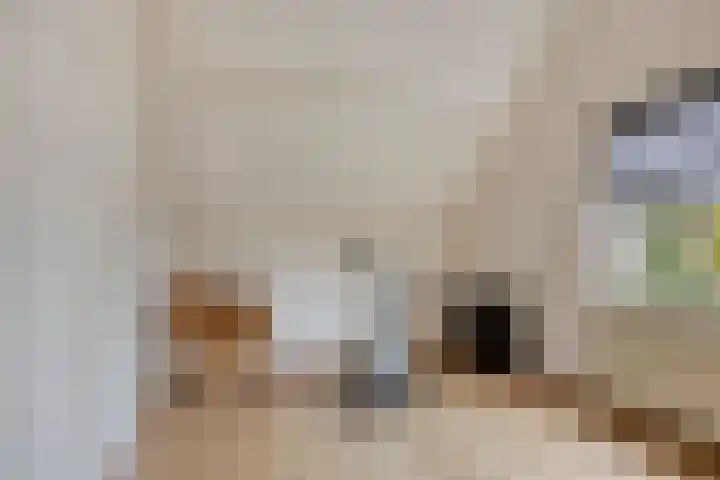 Colenbranderstraat 2 Duiven thumbnail 24