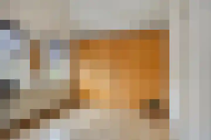 Colenbranderstraat 2 Duiven thumbnail 25
