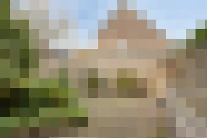 Colenbranderstraat 2 Duiven thumbnail 26