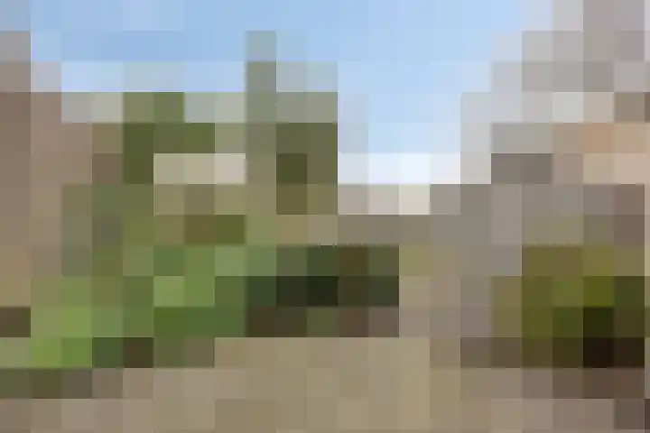 Colenbranderstraat 2 Duiven thumbnail 28