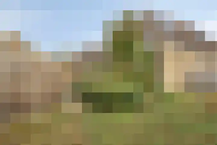 Colenbranderstraat 2 Duiven thumbnail 29