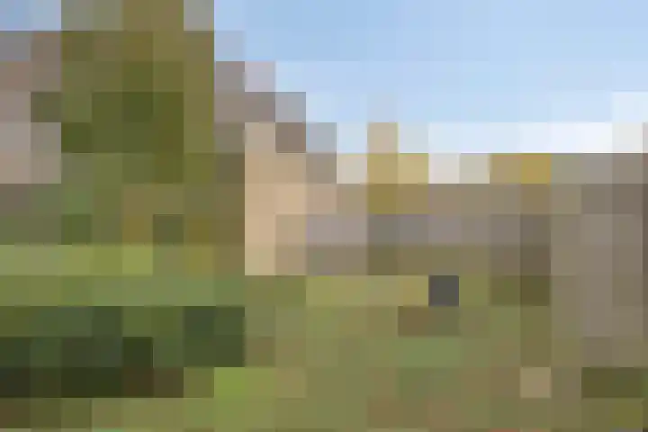 Colenbranderstraat 2 Duiven thumbnail 30