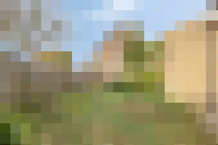 Colenbranderstraat 2 Duiven thumbnail 31