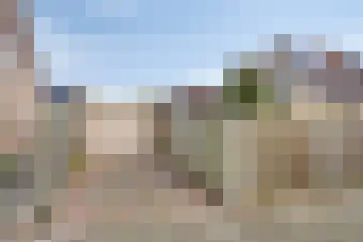 Colenbranderstraat 2 Duiven thumbnail 32