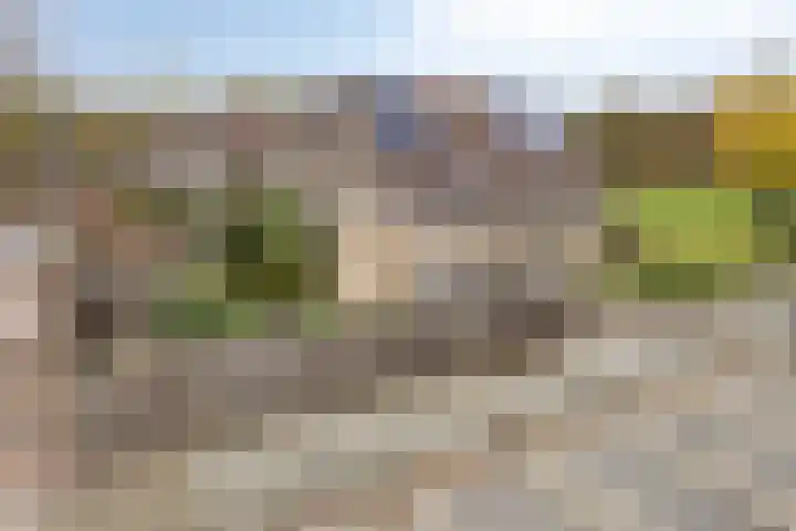 Colenbranderstraat 2 Duiven thumbnail 35